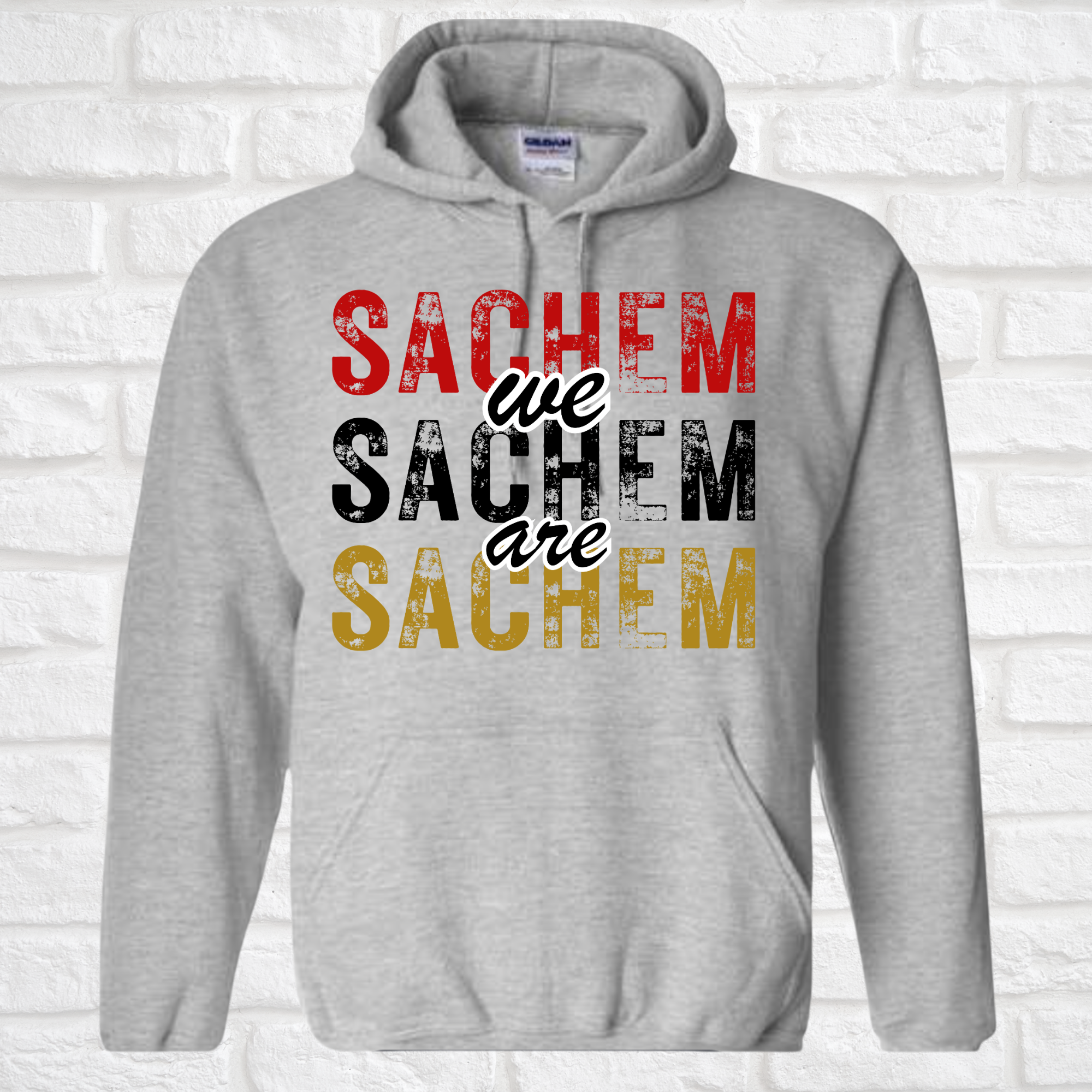 We are Sachem hoodie ( Wenonah Shop)