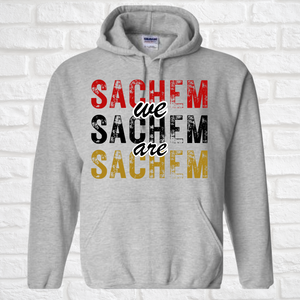 We are Sachem hoodie ( Wenonah Shop)